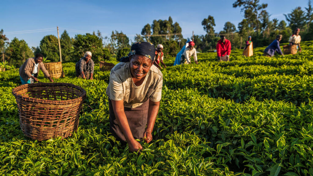 Agribusiness